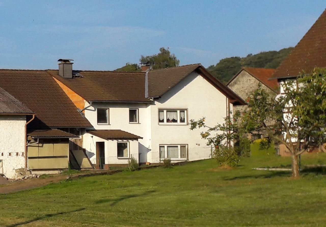 Ferienwohnung Auf Dem Pferdehof Schotten Eksteriør bilde